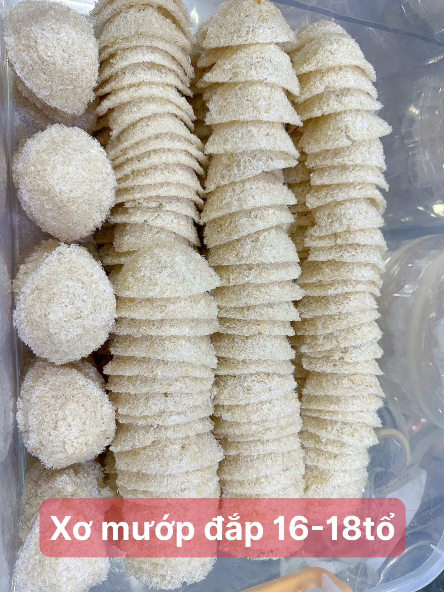 Yến xơ mướp đắp 16-18 tổ